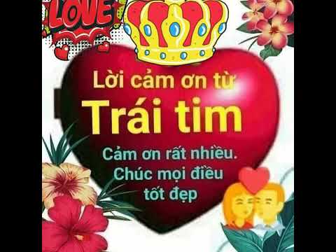 Lời cảm ơn từ trái tin