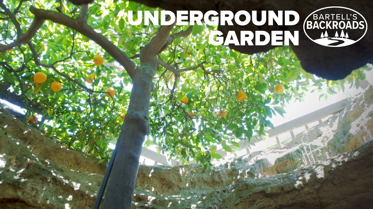 Fresno S Underground Garden Was Created By One Man S American