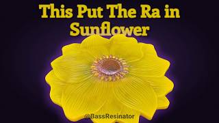 This Put the Ra in Sunflower #resinart #sunflower