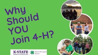 Why You Should Join 4-H According to a 4-H Member!