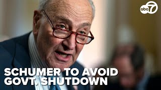 Schumer vows to keep government open, warns shutdown empowers Trump and Musk