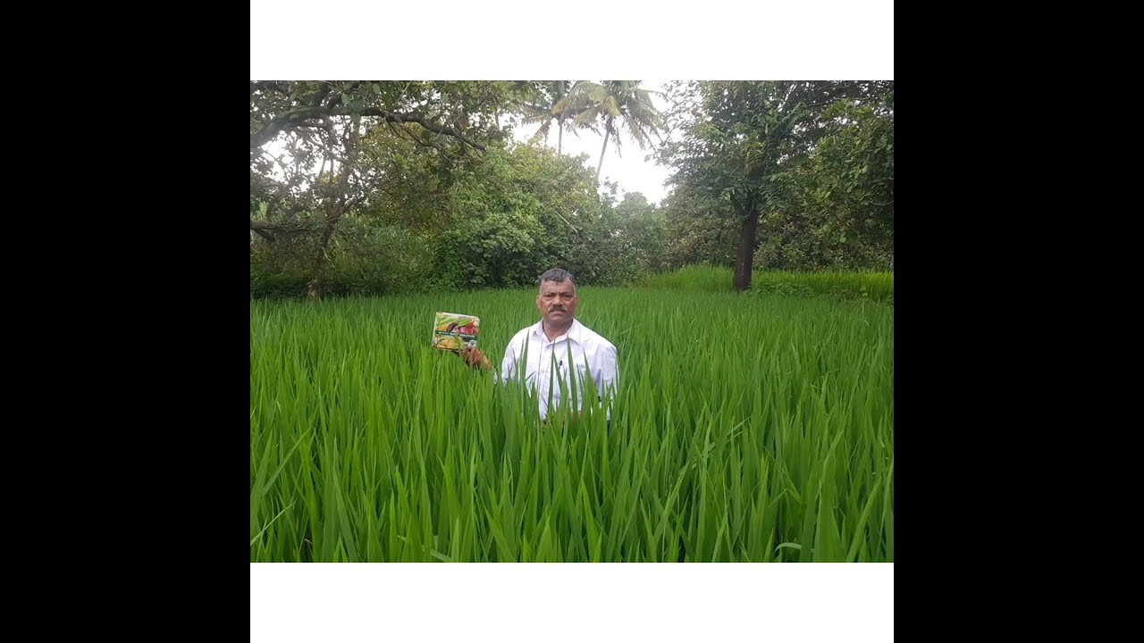 Crop RESULT OF HARIT SANJIVNI 