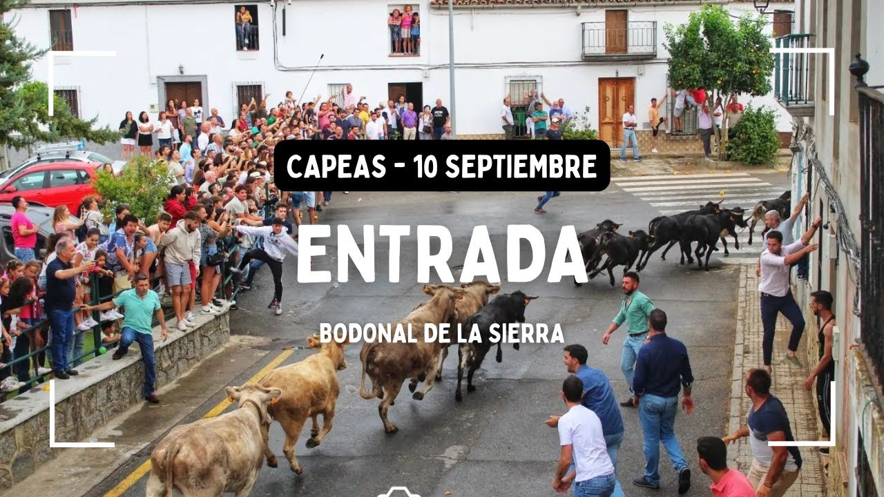 ENTRADA 10 SEPTIEMBRE 2025 - CAPEAS BODONAL DE LA SIERRA