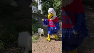 Man's Best Friend Loves the Eagle