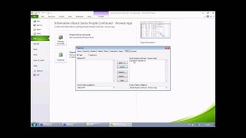 Microsoft Project - Custom Fields 4 of 4: Using the Organizer