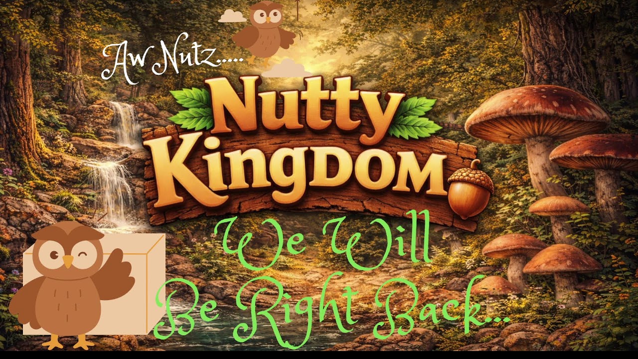 Live Backyard Wildlife Cam 🐿️ | Squirrels, Birds & Peaceful Nature