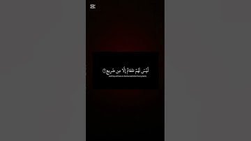 القران الكريم سورة الغاشيه #المصحف #اكسبلور