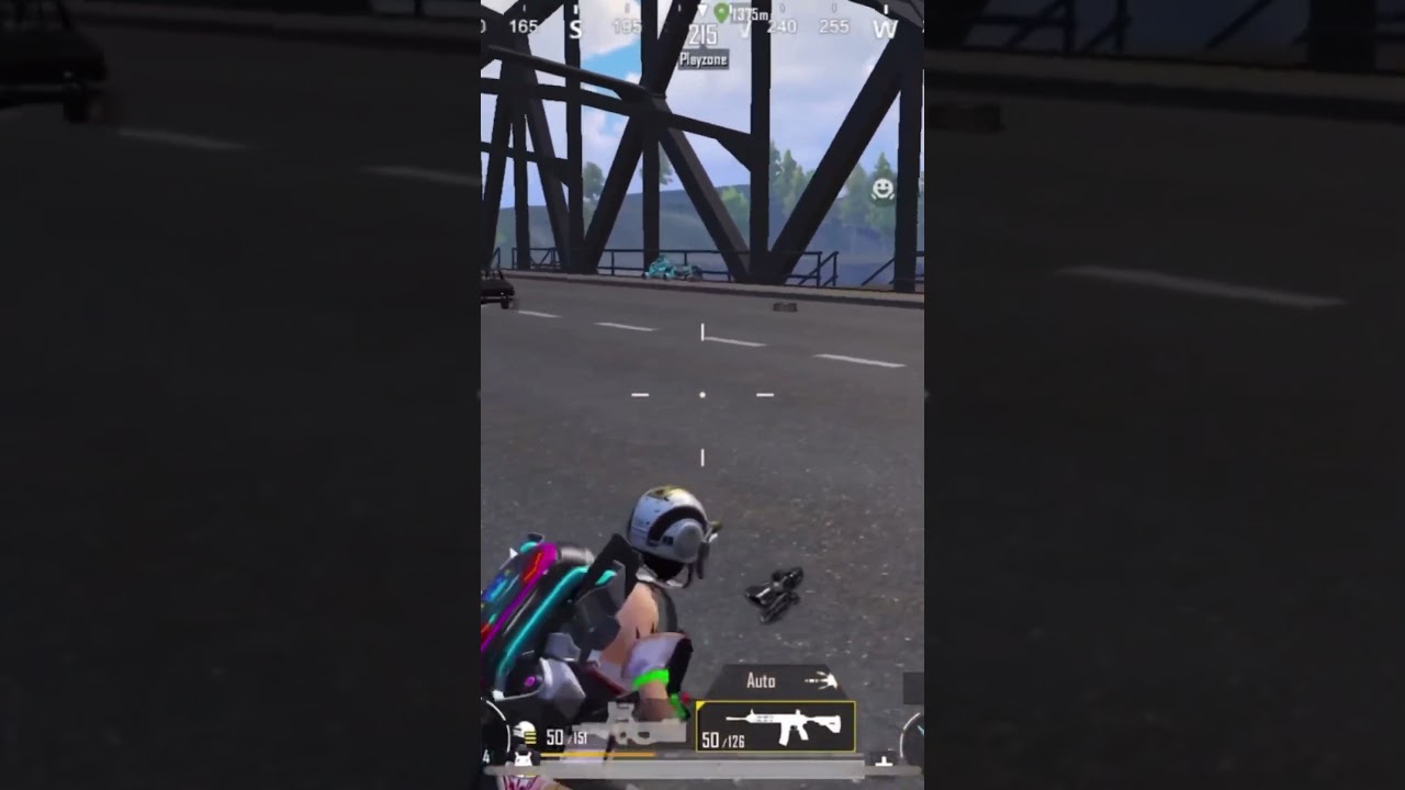 NEXT LEVEL BRIDGE CAMPING  