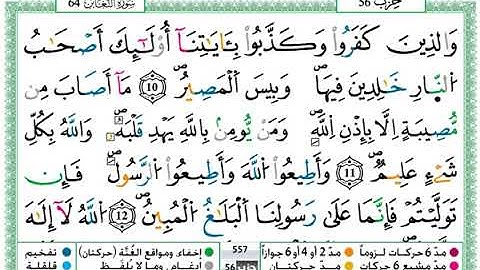 سورة التغابن(مختلف عليها مكية/مدنية)/ حمزة الجزائري #64