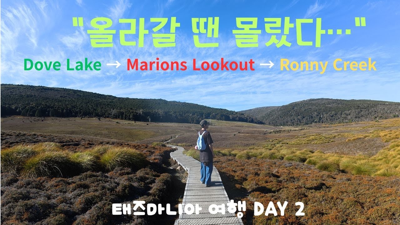 태즈마니아여행DAY2/“태즈메이니아 최강 난이도?” 마리온스 룩아웃/여행은마리아/간접오버랜드체험/마리온스 룩아웃은 갔다 왔다는 것만으로도 레벨업