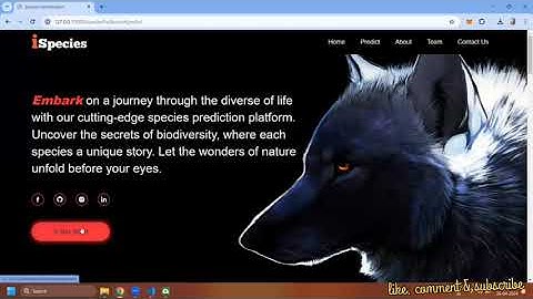 Animal & Bird Identification From An Image Using Flask Framework + CNN
