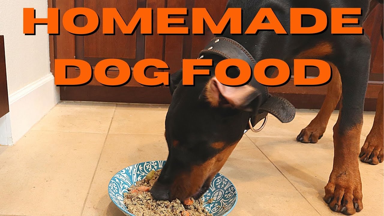 How To Make Homemade Dog Food YouTube