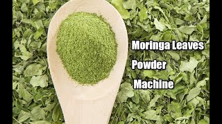 Moringa Leaves Powder Processing Machine Line #moringa #process #machine