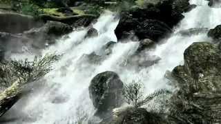 Pure Waters - Waterfalls