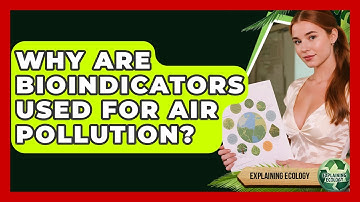 Why Are Bioindicators Used For Air Pollution? - Explaining Ecology