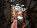 Steve Irwin’s opinion on Da Red Gobbo & Bounca the Squig - Warhammer memes / miniatures