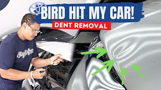 PAINTLESS DENT REMOVAL IN ACTION