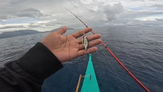 metal jig 20grams on 15meters | catch and cook