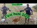 Air gun hunting pigeon dove grey francolin sr1000 gamo reply 10x hunting 2024mz birds hunting