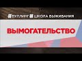 Вымогательство / Буллинг. Школа выживания