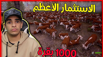 محاكي السوبر ماركت #45 اشتريت 1000 بقرة بقيمة 500.000 دولار 😱🔥 Trader Life Simulator