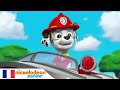 Paw Patrol : La Pat' Patrouille | Cache-cache avec la Pat' Patrouille | NICKELODEON JUNIOR