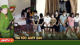 Tổng hợp tin tức an ninh trật tự nóng, thời sự Việt Nam mới nhất 24h | ANTV screenshot 2
