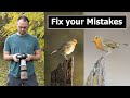 Wildlife Photography for Beginners: 5 Common Mistakes (And How to FIX them!)