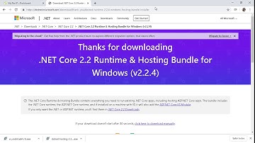 Publicando site asp.net core 2.2 em servidor caseiro no iis Windows 10