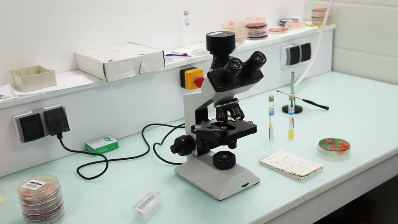 مرحبًا بكم في مصحة أبو القاسم سكيكدة