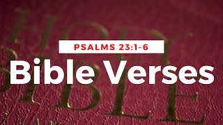 Visual Bible Verses | Psalms 23:1-6 KJV | Bible verses with background music | Worship screenshot 5