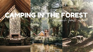 Forest bathing in Tasmania | VANLIFE AUSTRALIA | Ep. 6