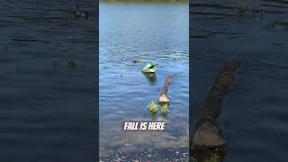 Fall is Here #nature #landscapephotography #adventure #lakeview
