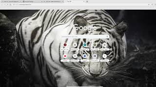 CMS website tutorial for Editors