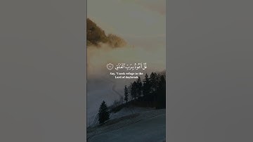 سورة الفلق | سعد الغامدي