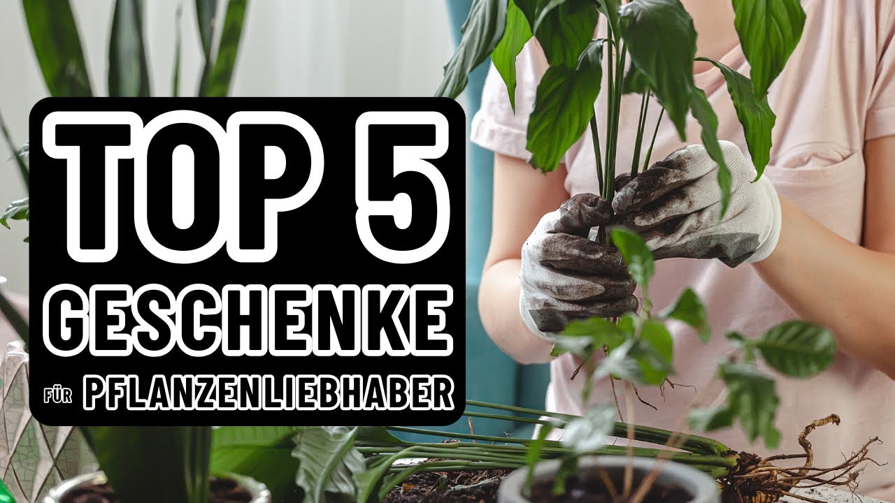 Die 5 besten Geschenke für Pflanzenliebhaber YouTube