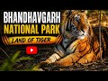 Bhandhavgarh National park || wildlife || nature ||Royal Bengal tiger || adventure || Tavelvlog ||