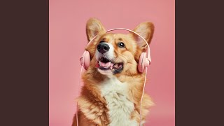Peaceful Canine Rhythms