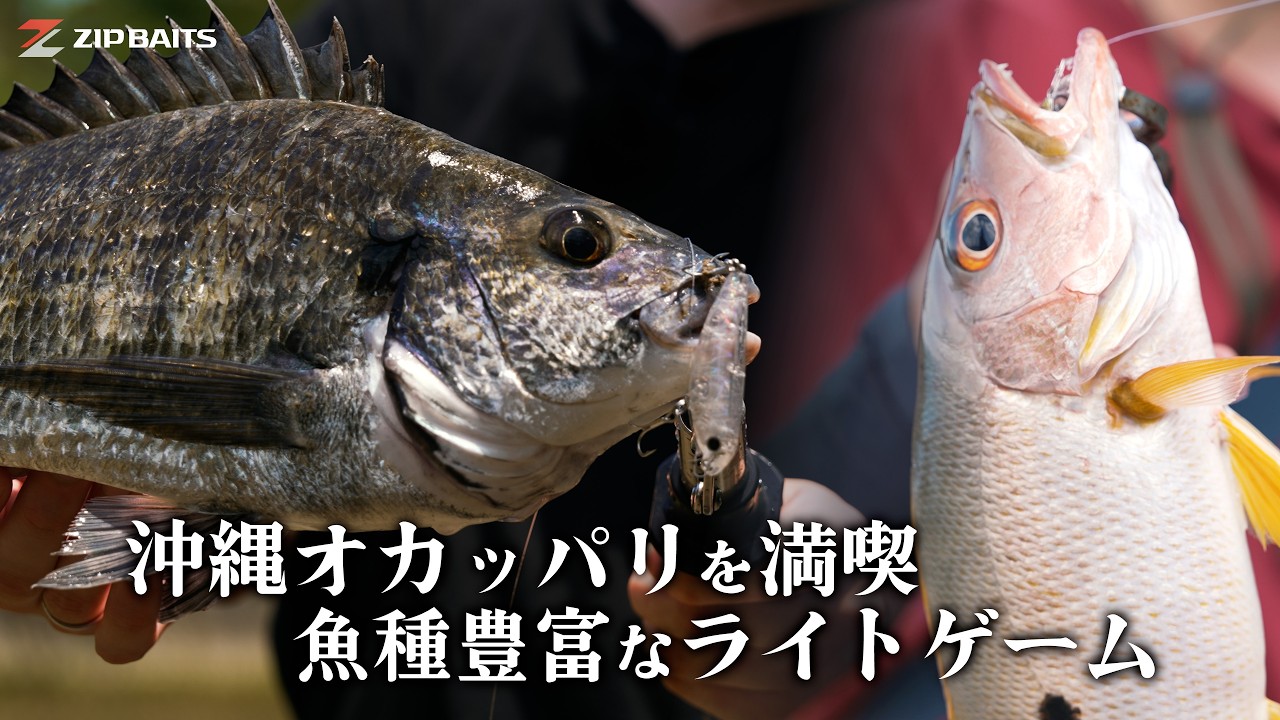ZIPBAITS ジップベイツ