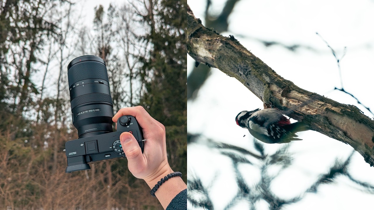 Relaxing POV Nature Photography I Birds & Nature I Sony A6700 I Sony 70-350MM
