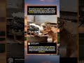 Cute Rural Yellow Dog Plays By Holding Muscovy Duck’s Beak On Stone Step#foryou #fyp #animals #funny