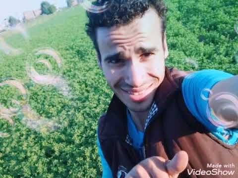 احلى ميدو شياكه الصحاب حل امال 