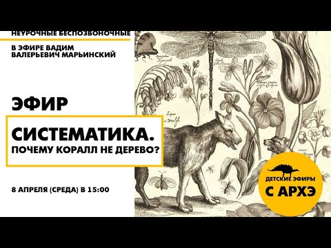 Детский эфир "Систематика. Почему коралл не дерево?" в рамках рубрики "Неурочные беспозвоночные"