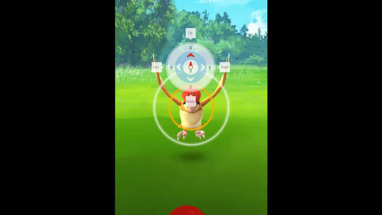 ポケモンgo ピジョンを進化させてピジョットにしてみた Youtube ポケモンgo ピジョンを進化させてピジョットにしてみた Youtube