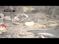 Snake sighted in Kurnool General Hospital (KGH)