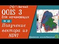 QGIS 3 - № 43. Получение вектора из NDVI