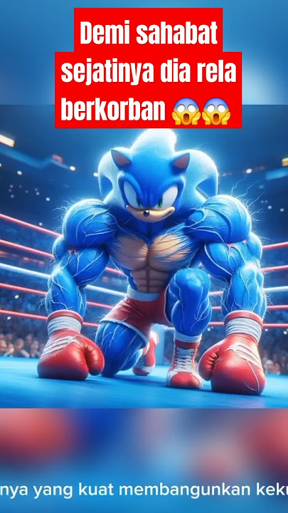 Berkorban untuk sang sahabat #kucingberotot #tentangkucing #ceritakucg #cat #catlover #sonic
