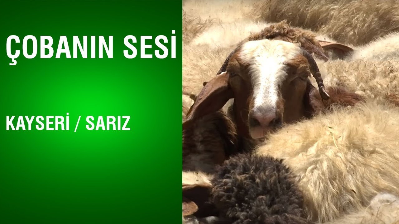 Çobanın Sesi - Kayseri / Sarız