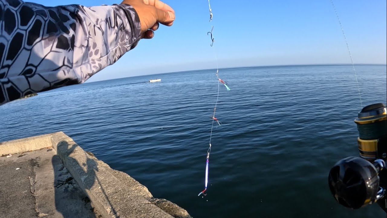 Sabiki | pier fishing