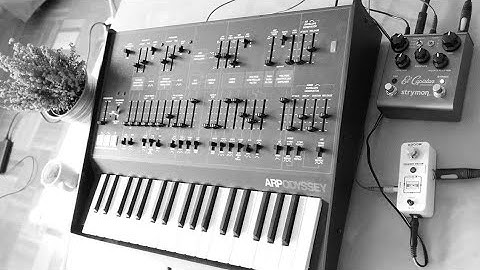 Korg Arp Odyssey jam w/ Mooer Micro Looper & Strymon El Capistan